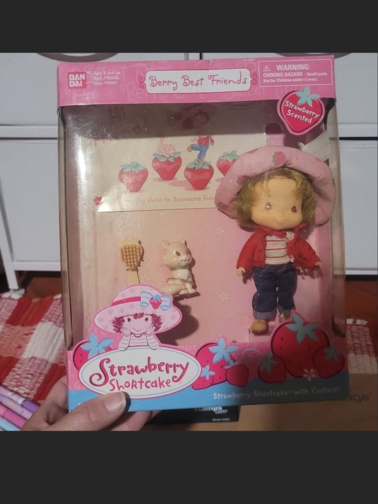 Strawberry Shortcake Other - Strawberry Shortcake Berry Best Friends Doll - Pink & Red
